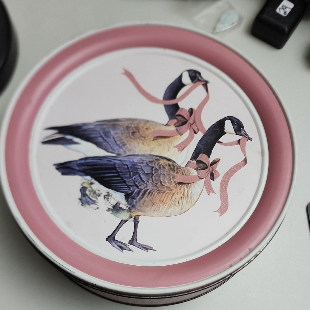 Silly Goose Vintage Sewing Tin